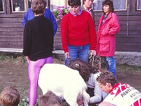 EBI 1993 Sir 014  Pondělí 26. 7. 1993. Pokus o dojení kozy na Medlově (Robo Rosa)