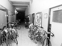Ebi 1987 Lisak 17  Chodba v suterénu školy v Sezimově Ústí. Trenér cyklistů Kalaš označil naše bicykly za sekačky!