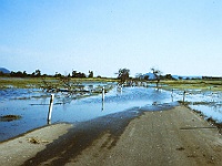 EBI 1987 Sir 019  Zaplavená silnice na trase Ebicyklu při dojezdu do Mostu. První etapa 5. 7. 1987
