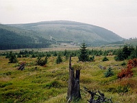 Ebi 1996 Paedr 021  1.8.1996 chata Jizerka pod jelení strání - ráno