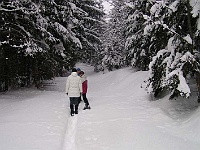 Ski 2005 Melantrich 44