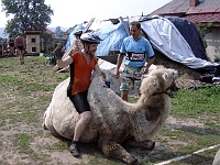 EBI 2006 Mirek 178  Martin bude pokračovat na velbloudu - pátek, 14. července