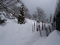 Ski 2006 Melantrich 43