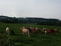 Ebi 2009 Janata 002  0. etapa - Hlubočec, Farma Šťastná planeta