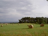 EBI 2010 Ottakarka 122  Tepelská pahorkatina před Mariánskými Lázněmi