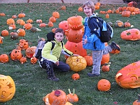 REJ 2010 Viktor 002  Halloween v Zoo Dvoře Králové