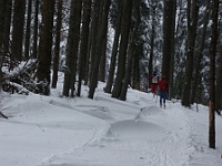 Ski 2010 Janata 26  Na Lemeçnou