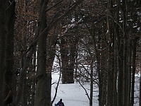 Ski 2010 Janata 33  Pod Beskydem