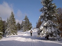 Ski 2010 Ottakarka 52  Poslední kopec před Stratencem