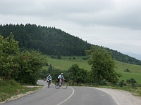 EBI 2011 Mirek 067  Šněrovačka po silnici – Sedlo Brestová