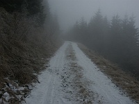 SKI 2011 Mirek 22  V sobotu bylo nevlídno (severní úbočí Noříčí hory).