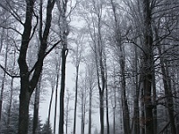 SKI 2011 Mirek 29  Cesta na vrcholu Noříčí hory I.