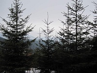 SKI 2011 Ottakarka 10  Panorámata se ukázala, ale byla dost zamlžená.