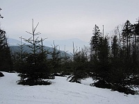 SKI 2011 Ottakarka 12  Ani další pokus o panoráma nevyšel.
