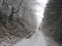 SKI 2011 Ottakarka 49  Na velké části okruhu U zmrzlého byl místo sněhu jen led.