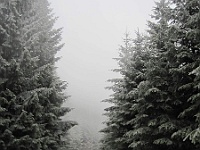 SKI 2011 Ottakarka 51  Ono to sice tak nevypadá, ale po sněhu jsme vlastně nejeli.
