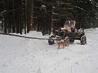 SKI 2012 Ottakarka 02  Škoda, že ty koně vozka před chvílí vypřáhl!!!