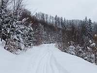 SKI 2013 Mirek 06  Cesta na Kohútku je zafúkaná – čtvrtek 21. února