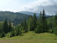 EBI 2014 Mirek 130  Z mlhy se vynořila Kráĺova Hoĺa, Sedlo Besník 994 m.n.m. - středa, 6. srpna