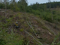EBI 2014 Mirek 149  Také zdejší les byl postižen vichřicí, sedlo Brezina - čtvrtek, 7. srpna