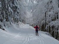 SKI 2015 Mirek 005  Běžecká trasa Pustevny - Martiňák- čtvrtek, 5. února