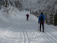 SKI 2015 Mirek 007  Hejtman následovaný Láďou - čtvrtek, 5. února