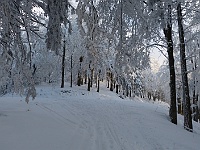 SKI 2015 Mirek 012  Romantická zatáčka - čtvrtek, 5. února