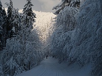 SKI 2015 Mirek 013  Různé odstíny bílé - čtvrtek, 5. února