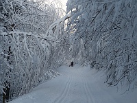 SKI 2015 Mirek 014  Ebicyklisté ztraceni v bílé - čtvrtek, 5. února