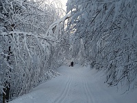 SKI 2015 Mirek 014  Ebicyklisté ztraceni v bílé - čtvrtek, 5. února