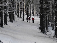 SKI 2017 Mirek 038  Cesta zimním lesem - pátek, 10. února
