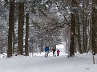 Ski 2018 Mirek 49  Na Krkostěně nás dostihla pěší sekce! - sobota, 24. února