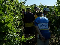 EBI 2019 Mirek 074  Na konci řádku dostanete motyky! - pondělí, 5. srpna