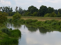 EBI 2019 Mirek 092  Ladná, řeka Morava - pondělí, 5. srpna