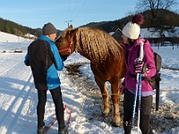 SKI 2019 Mirek 014  Opravdu nic nemám! (Bohouš, Ilona) - čtvrtek, 7. února