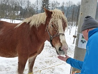 SKI 2019 Mirek 027  Pro valacha je banán jako malina - pátek, 8. února