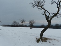 SKI 2019 Mirek 072  Rozloučení s fotogenickou krajinou na Pulčinách - sobota, 9. února