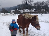 Ski 2019 July 11  Zastávka pri koníčkovi  (Martinko)