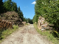 EBI 2022 Mirek 022  Cesta k Trojmezí je normální lesní cesta. - neděle, 7. srpna