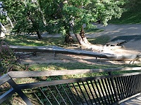 Ebi 2022 OttakarK 036