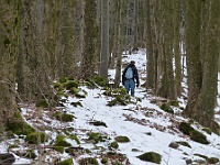 Ski 2022 Mirek 051  Cesta je lemována mohutnými stromy. - sobota, 26. února