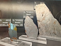 Ebi 2025 349