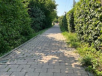 EBI 2026 Mirek 176  Překračujeme 18. poledník na cyklostezce ve Vsetíně (ebicyklisté mě ujeli). - pátek, 31. července