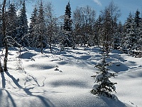 SKI 2026 Mirek 029  A stále fotografujeme zimní krásu. - pátek, 20. února
