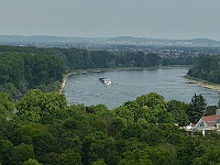 EbiCERN 2025 Mirek 213  Rýn je zde obklopen lužními lesy. - sobota, 17. května