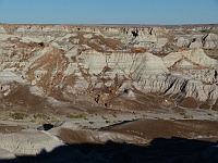 EBIZONA 2013 Mirek 126  Petrified Forest, Zde se začíná objevovat zkamenělé dřevo – neděle, 20. října