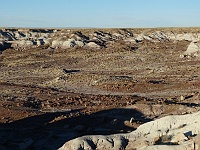 EBIZONA 2013 Mirek 129  Petrified Forest, Zkamenělého dřeva stále přibývá – neděle, 20. října