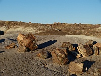 EBIZONA 2013 Mirek 132  Petrified Forest, Solitéry zkamenělého dřeva – neděle, 20. října