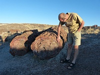 EBIZONA 2013 Mirek 133  Petrified Forest, Zeměkolár a jeden z velkých kusů – neděle, 20. října