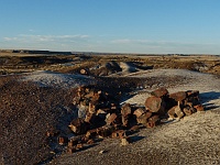 EBIZONA 2013 Mirek 137  Petrified Forest, 250 miliónů let – neděle, 20. října